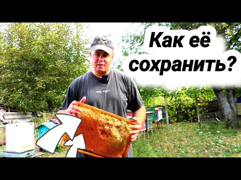 Видео: Как сохранить до весны суш и перговые рамки? Несколько вариантов хранения. Подпалил серную шашку!