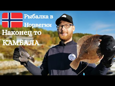 Видео: Наконец то КАМБАЛА!!! Рыбалка в Норвегии!! Ловля камбалы на креветку!Норвегия! Морская рыбалка!