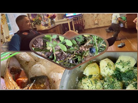 Видео: Смоленщина. Мох сфагнум и страх одиночества.