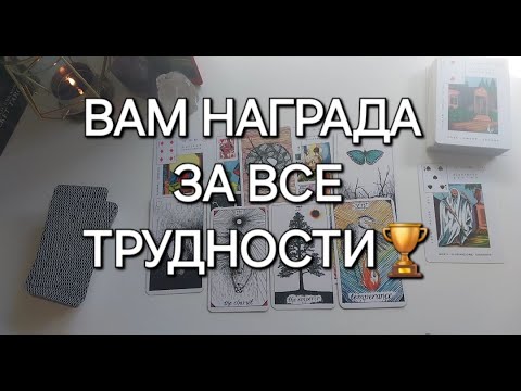 Видео: НАГРАДА за ВСЕ пережитое...🕊🤲Чем сердце успокоится?❤️‍🩹