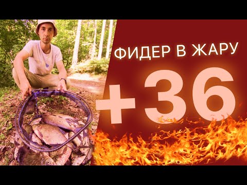 Видео: Ловля леща в жару . Жара +36. Чигиринское водохранилище.