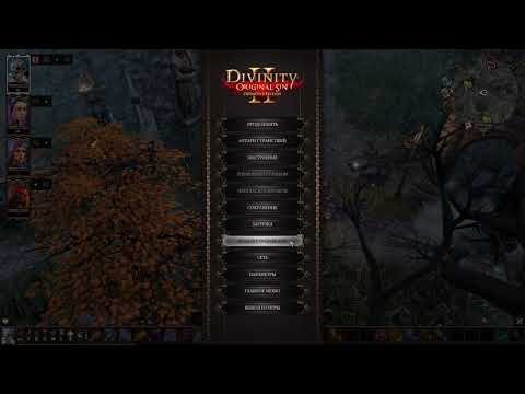 Видео: Divinity: Original Sin 2 [сложность: Тактика] ч.1