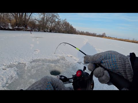 Видео: В ШОКЕ ОТ ТАКОГО КЛЕВА. Щуки сдурели и клюют как сумасшедшие. Рыбалка на жерлицы и балансиры