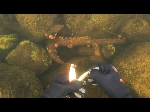 Видео: Находки под водой. Подводный поиск / Underwater finds. Underwater search