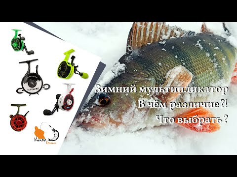 Видео: Зимние мультипликаторные катушки В чём разница между дорогими и дешёвыми катушками