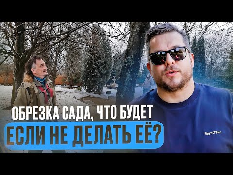 Видео: Обрезка сада, что будет если не делать её? Проблемы взрослых декоративных деревьев и как их решить.
