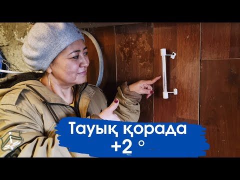 Видео: Vlog. Тауық қора жылы. Тауықтарым жұмыртқаны жақсы берген