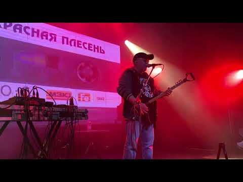 Видео: Красная Плесень В первый раз
