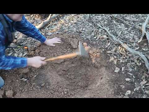 Видео: Отличный золотой самородок. Пожалуй, закруглюсь на сегодня. Minelab GPZ 7000. Виктория. Золотой т...
