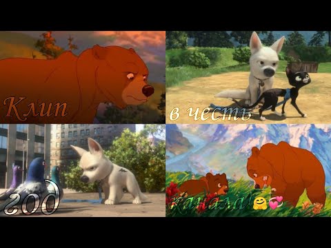 Видео: Вольт и Кенай клип в честь год канала!