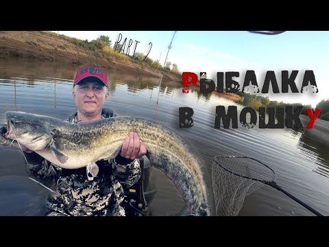 Видео: Рыбалка на Ахтубе в сезон мошки Ч.2 | Продолжаем ловить на вытеках , пробуем ловить СОМА на квок