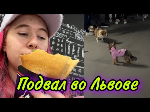 Видео: НАШЕ НОВОЕ УБЕЖИЩЕ в Паркинге. Первый раз  мою голову твёрдым шампунем между тревогами.