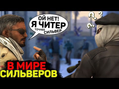 Видео: В МИРЕ СИЛЬВЕРОВ #29 | CS:GO