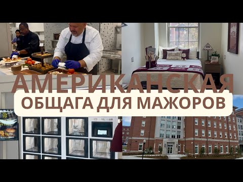 Видео: ОБЩАГА  для богатых студентов в США. Бэкстейдж Жизни Американского Университета