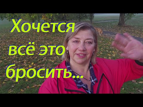 Видео: Похудение — это нелегко… 🙄Сдаться? Стоит ли всё бросить?.. Вот что я решила🤔