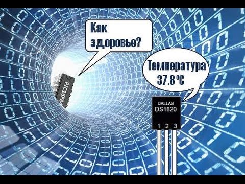 Видео: 52. Программа для обмена данными между DS18B20 и PIC16F84A (Урок 44. Теория)