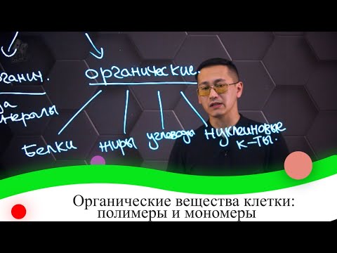 Видео: Органические вещества клетки: полимеры и мономеры. 8 класс.