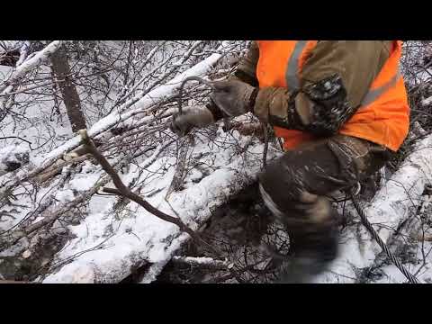 Видео: ТТ-4 Лесной танк в деле. Разрабатываем площадку, вытаскиваем волок.