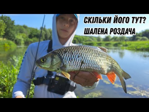 Видео: ГОЛАВЛЬ НЕ ПЕРЕСТАЄ КЛЮВАТИ! р.Південний Буг 2023.