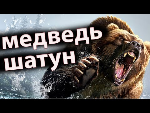 Видео: /МЕДВЕДЬ ШАТУН/  Голодный и злой бродяга/