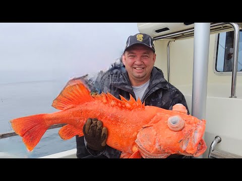 Видео: Морская рыбалка  на Камчатке