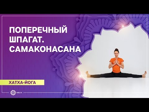 Видео: ПОПЕРЕЧНЫЙ ШПАГАТ для начинающих. САМАКОНАСАНА. Екатерина Андросова.