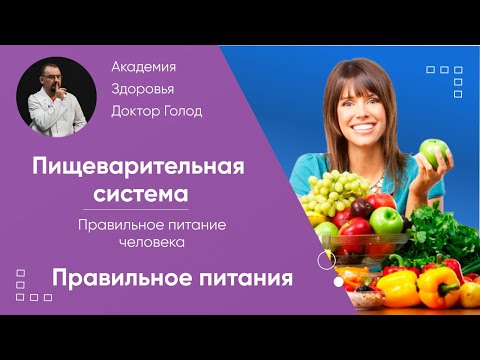Видео: Правильное питание. Его состав.