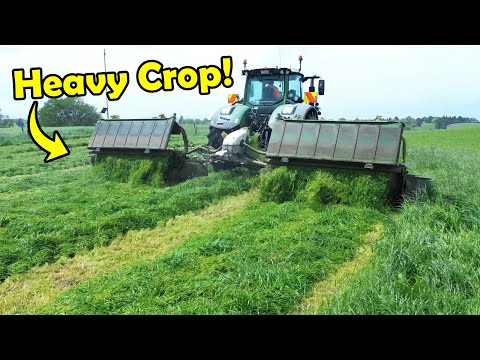 Видео: Небольшой прорыв в погоде... Время заготовить силос! Много тюков!!