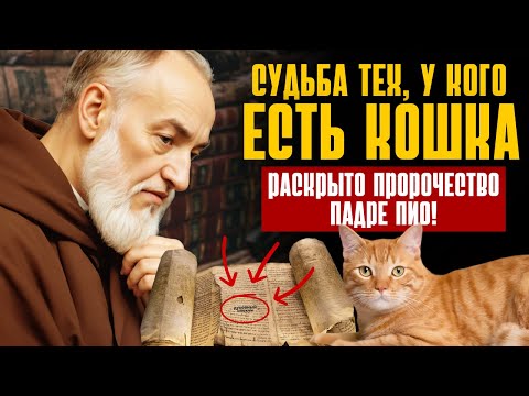 Видео: ПАДРЕ ПИО АЛЕРТ: Судьба тех, кто живет с кошками дома | Закон притяжения
