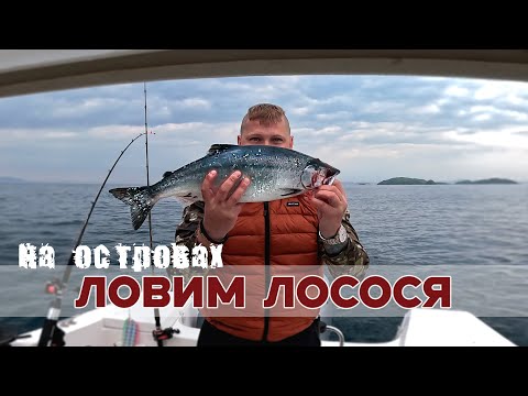 Видео: Ловим лосося на островах. Владивосток 2025