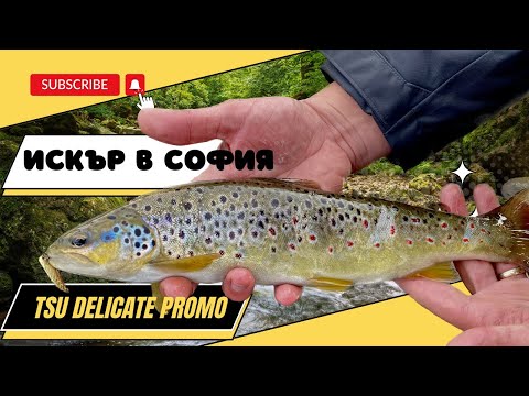 Видео: Първа проверка на река Искър в София