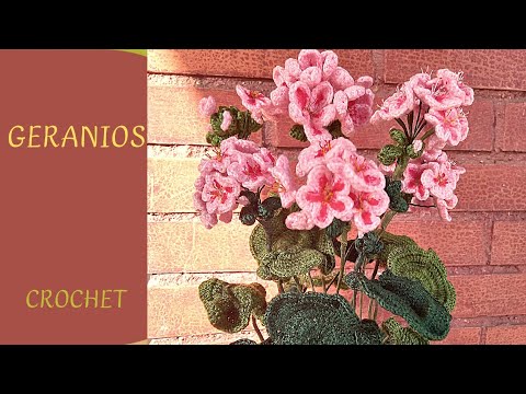 Видео: ГЕРАНЬ (вязание крючком) @ToniAlvarezJeLa