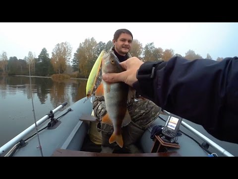 Видео: Весёлая ловля окуня на поверхностные приманки