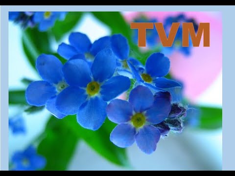 Видео: Мухоршибирскому району 90 лет