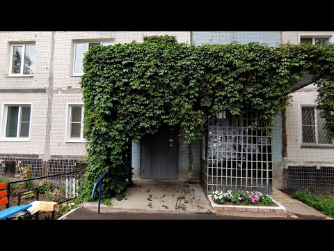 Видео: 🍀Заросший лианами вход в подъезд! Лифт (Самарканд-1979 г.в); Тольятти; Степана Разина 91, подъезд 3