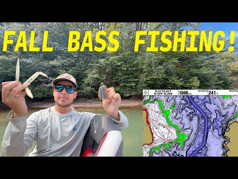Видео: ПОДРОБНОЕ РУКОВОДСТВО ПО ОСЕННЕЙ РЫБАЛКЕ! (Анализ озера и выбор наживки!)