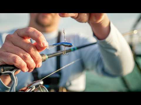 Видео: ЛУЧШИЕ МЕТОДЫ ЛОВКИ ОСЕННЕГО СУКАРА