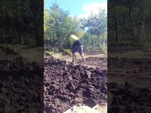 Видео: 14 сентября 2025 г.