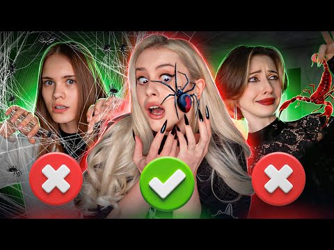 Видео: Испытали АРАХНОФОБИЮ! Проверка фобий. LyapoTanya, Елена Завидова, Anniemia