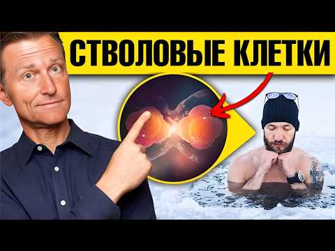 Видео: 7 способов стимуляции стволовых клеток без походов в клинику🔥