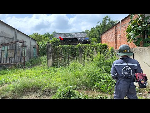 Видео: Мы были потрясены, узнав истинную стоимость нашего старого дома, когда убирали его