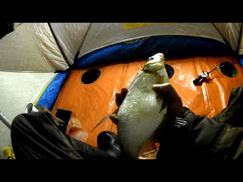 Видео: ЗИМНЯЯ РЫБАЛКА🎣 С НОЧЕВКОЙ 🌛НА ЛЕЩА (ВАЗУЗА-ХЛЕПЕНЬ).