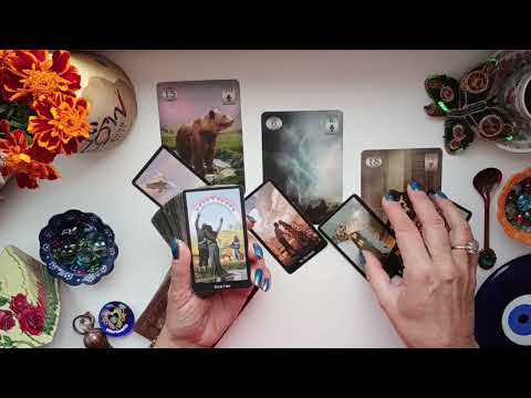 Видео: ♈ ОВНЫ! НОЯБРЬ ПЕРВАЯ ПОЛОВИНА ДЛЯ ВАС 🌺♥️ ПОЛНОЛУНИЕ #tarot #овен 