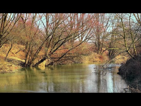 Видео: Рибалка В ЗАКОРЯЖЕНІЙ Річці - ВЕЧІРНІЙ Кльов Є