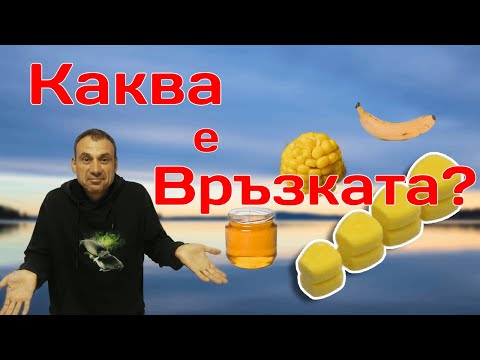 Видео: Има ли шаранът къща? | Част 1: Ароматите