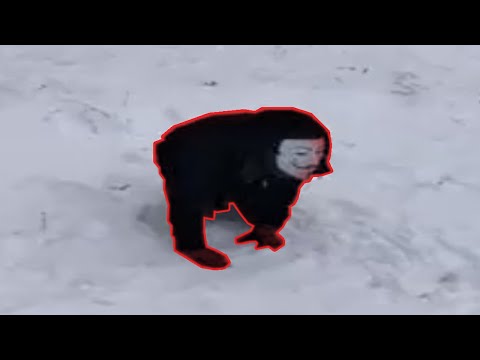 Видео: Все виды снюсоедов (плюсы и минусы)