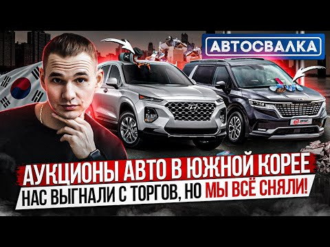 Видео: КАК ПРОХОДЯТ АУКЦИОНЫ АВТОМОБИЛЕЙ В ЮЖНОЙ КОРЕЕ / ПОКАЗЫВАЕМ ПРОЦЕСС ИЗНУТРИ / KIA, Hyundai Santa Fe