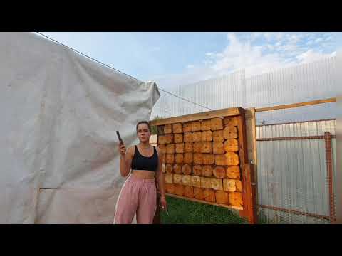 Видео: классика или сканф ? сравнение