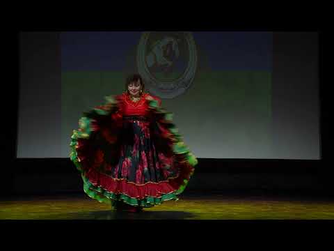 Видео: Козодаева Елена (Бедуинка) "Цыганская венгерка"