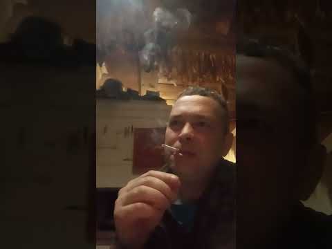 Видео: Махорка Питерская ✊🤝🤝🤝